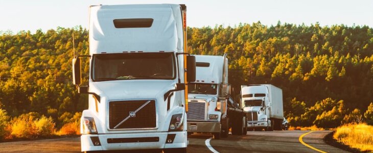 Line of semi-trucks parked on highway curve.