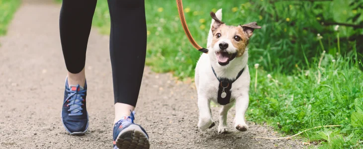 Owner walking her dog in the park